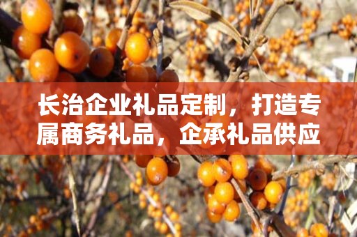 长治企业礼品定制，打造专属商务礼品，企承礼品供应链助力企业发展