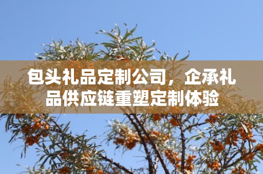 包头礼品定制公司，企承礼品供应链重塑定制体验