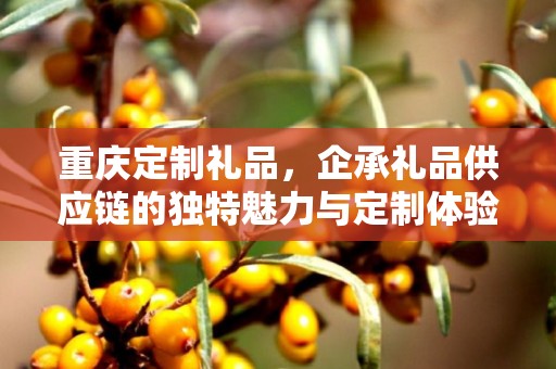 重庆定制礼品，企承礼品供应链的独特魅力与定制体验