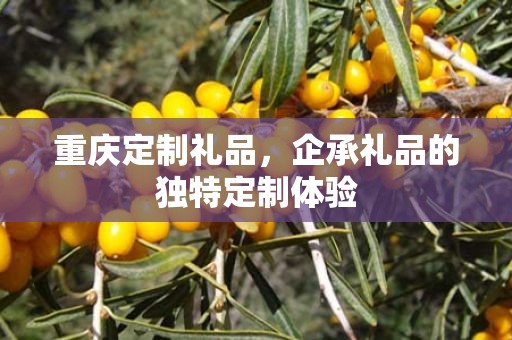 重庆定制礼品，企承礼品的独特定制体验