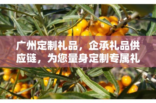 广州定制礼品，企承礼品供应链，为您量身定制专属礼品